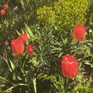 Meet your Posher, Maki